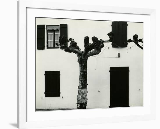 Windows and Pruned Tree, Spain, 1960-Brett Weston-Framed Photographic Print