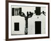 Windows and Pruned Tree, Spain, 1960-Brett Weston-Framed Photographic Print