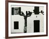 Windows and Pruned Tree, Spain, 1960-Brett Weston-Framed Photographic Print