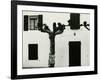 Windows and Pruned Tree, Spain, 1960-Brett Weston-Framed Photographic Print