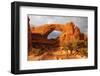 Windows. Arches National Park. Utah, USA.-Tom Norring-Framed Photographic Print