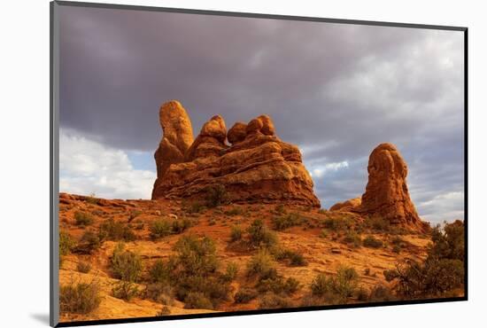 Windows. Arches National Park. Utah, USA.-Tom Norring-Mounted Photographic Print