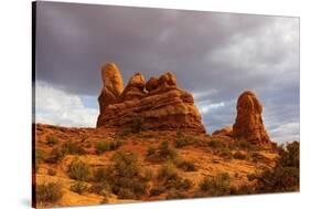 Windows. Arches National Park. Utah, USA.-Tom Norring-Stretched Canvas