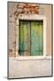 Windows & Doors of Venice VI-Laura DeNardo-Mounted Photographic Print