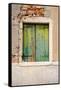 Windows & Doors of Venice VI-Laura DeNardo-Framed Stretched Canvas