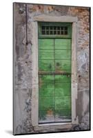 Windows & Doors of Venice VII-Laura DeNardo-Mounted Photographic Print