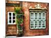 Windows Of Old Hamburg-George Oze-Mounted Photographic Print