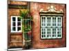 Windows Of Old Hamburg-George Oze-Mounted Photographic Print