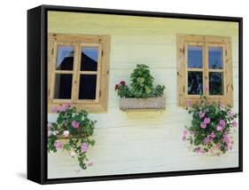 Windows of One of Unique Village Architecture Houses in Vlkolinec Village, Velka Fatra Mountains-Richard Nebesky-Framed Stretched Canvas