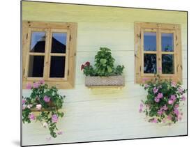 Windows of One of Unique Village Architecture Houses in Vlkolinec Village, Velka Fatra Mountains-Richard Nebesky-Mounted Photographic Print