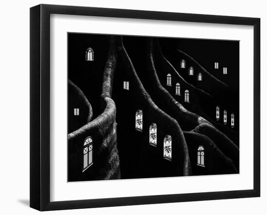 Windows of the Forest-Jacqueline Hammer-Framed Photographic Print