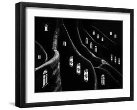 Windows of the Forest-Jacqueline Hammer-Framed Photographic Print