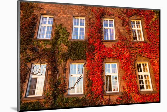 Windows of Wawel Castle (Autumn) in Krakow, Poland.-De Visu-Mounted Photographic Print