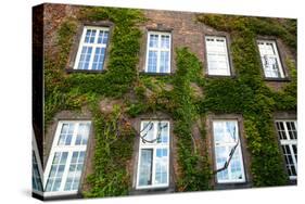 Windows of Wawel Castle in Krakow, Poland.-De Visu-Stretched Canvas