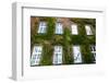 Windows of Wawel Castle in Krakow, Poland.-De Visu-Framed Photographic Print