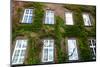 Windows of Wawel Castle in Krakow, Poland.-De Visu-Mounted Photographic Print