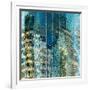 Windows - Old and New-Ursula Abresch-Framed Photographic Print