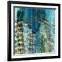 Windows - Old and New-Ursula Abresch-Framed Photographic Print