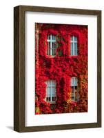 Windows-Botond Horvath-Framed Photographic Print