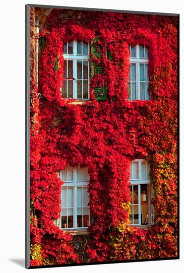 Windows-Botond Horvath-Mounted Photographic Print