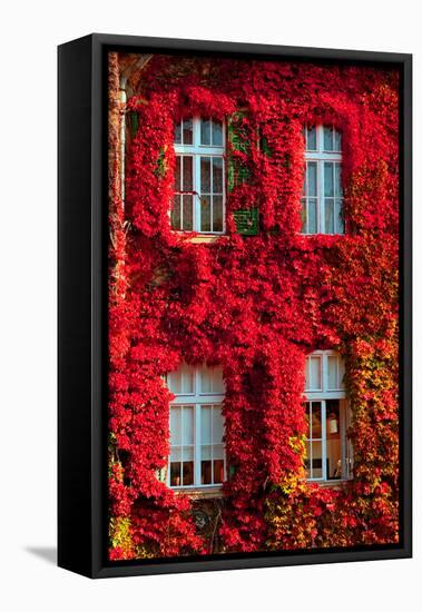 Windows-Botond Horvath-Framed Stretched Canvas