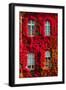 Windows-Botond Horvath-Framed Photographic Print