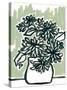 Windowsill Blossoms I-June Vess-Stretched Canvas