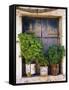 Windowsill, Paleohora, Crete, Greece-Peter Ryan-Framed Stretched Canvas