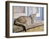 Windowsill-Janet Pidoux-Framed Giclee Print