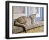 Windowsill-Janet Pidoux-Framed Giclee Print