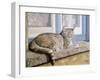 Windowsill-Janet Pidoux-Framed Giclee Print