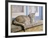 Windowsill-Janet Pidoux-Framed Giclee Print