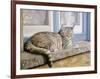 Windowsill-Janet Pidoux-Framed Giclee Print