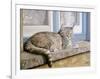 Windowsill-Janet Pidoux-Framed Giclee Print