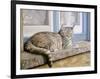 Windowsill-Janet Pidoux-Framed Giclee Print