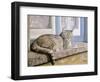 Windowsill-Janet Pidoux-Framed Giclee Print