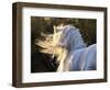 Winds Aloft-Barry Hart-Framed Art Print