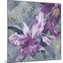 Windsong Orchid Blooms-Bill Jackson-Mounted Giclee Print