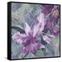 Windsong Orchid Blooms-Bill Jackson-Framed Stretched Canvas