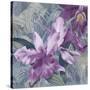 Windsong Orchid Blooms-Bill Jackson-Stretched Canvas