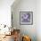 Windsong Orchid Blooms-Bill Jackson-Framed Giclee Print displayed on a wall