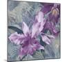 Windsong Orchid Blooms-Bill Jackson-Mounted Premium Giclee Print