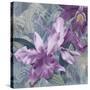 Windsong Orchid Blooms-Bill Jackson-Stretched Canvas