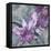 Windsong Orchid Blooms-Bill Jackson-Framed Stretched Canvas