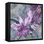 Windsong Orchid Blooms-Bill Jackson-Framed Stretched Canvas