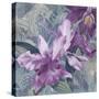 Windsong Orchid Blooms-Bill Jackson-Stretched Canvas