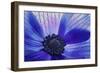 Windsong-Dawn LeBlanc-Framed Photographic Print