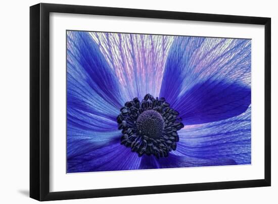 Windsong-Dawn LeBlanc-Framed Photographic Print