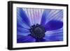 Windsong-Dawn LeBlanc-Framed Photographic Print