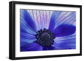 Windsong-Dawn LeBlanc-Framed Photographic Print